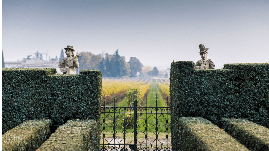 21 Generations of Winemaking in the Heart of Valpolicella